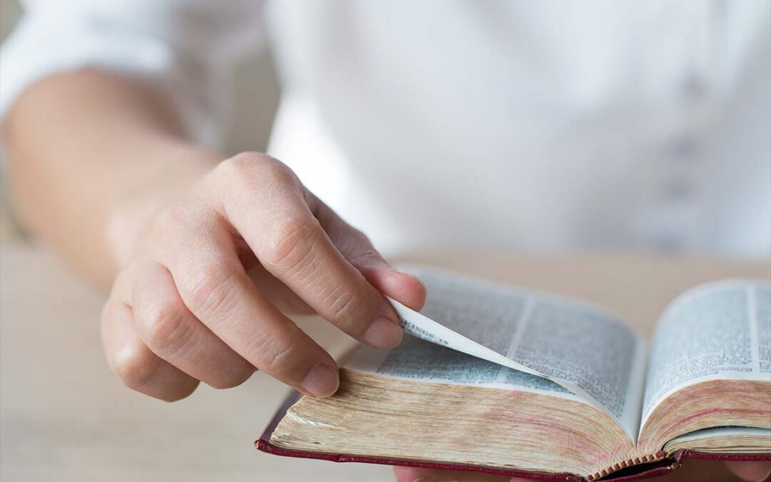 ¿Cómo explico la Biblia a un nuevo creyente?