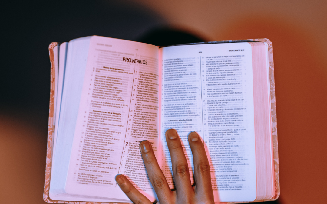 Cuatro formas en que el estudio de la Biblia cambia la evangelización